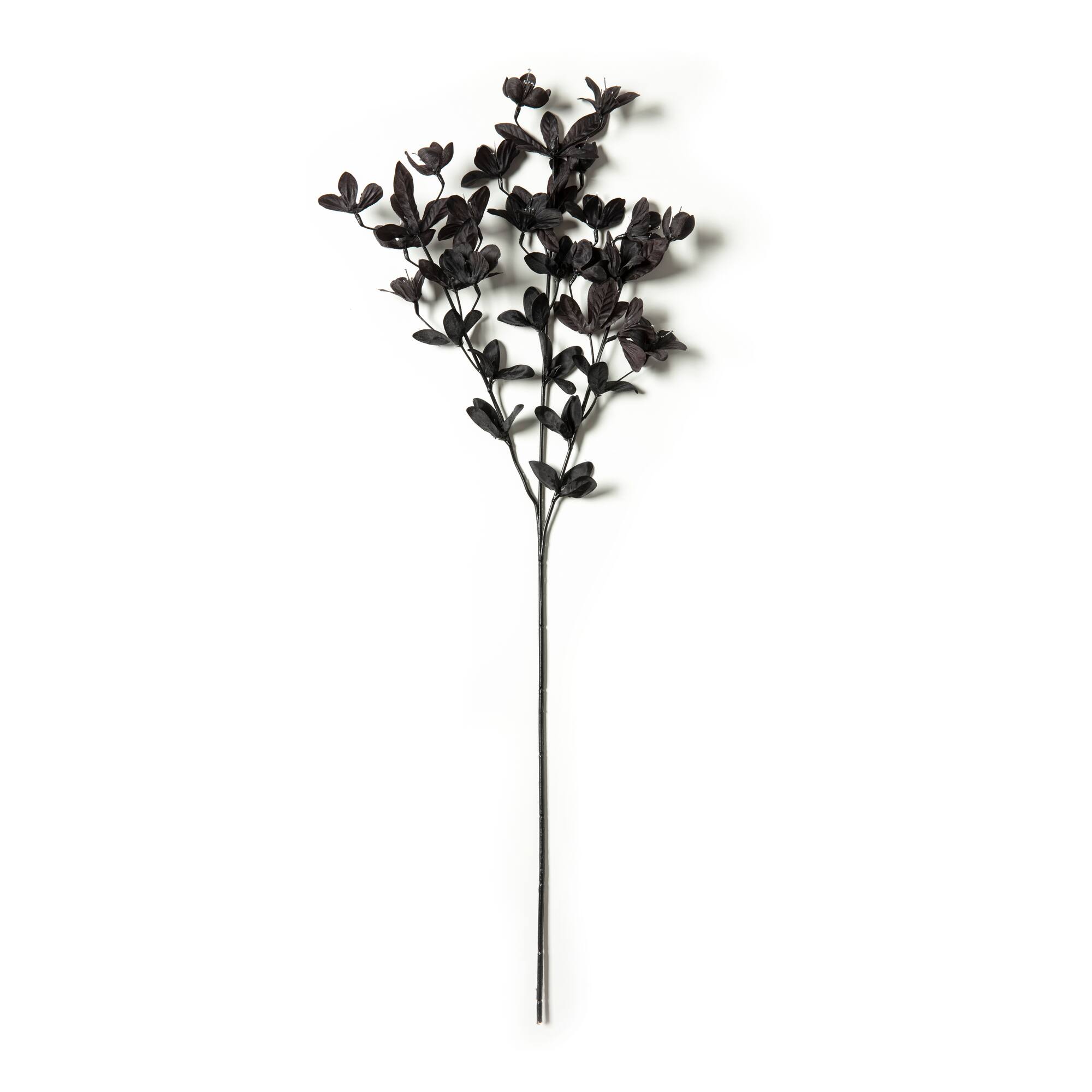 12 Pack: Charcoal Gray Azalea Spray by Ashland®